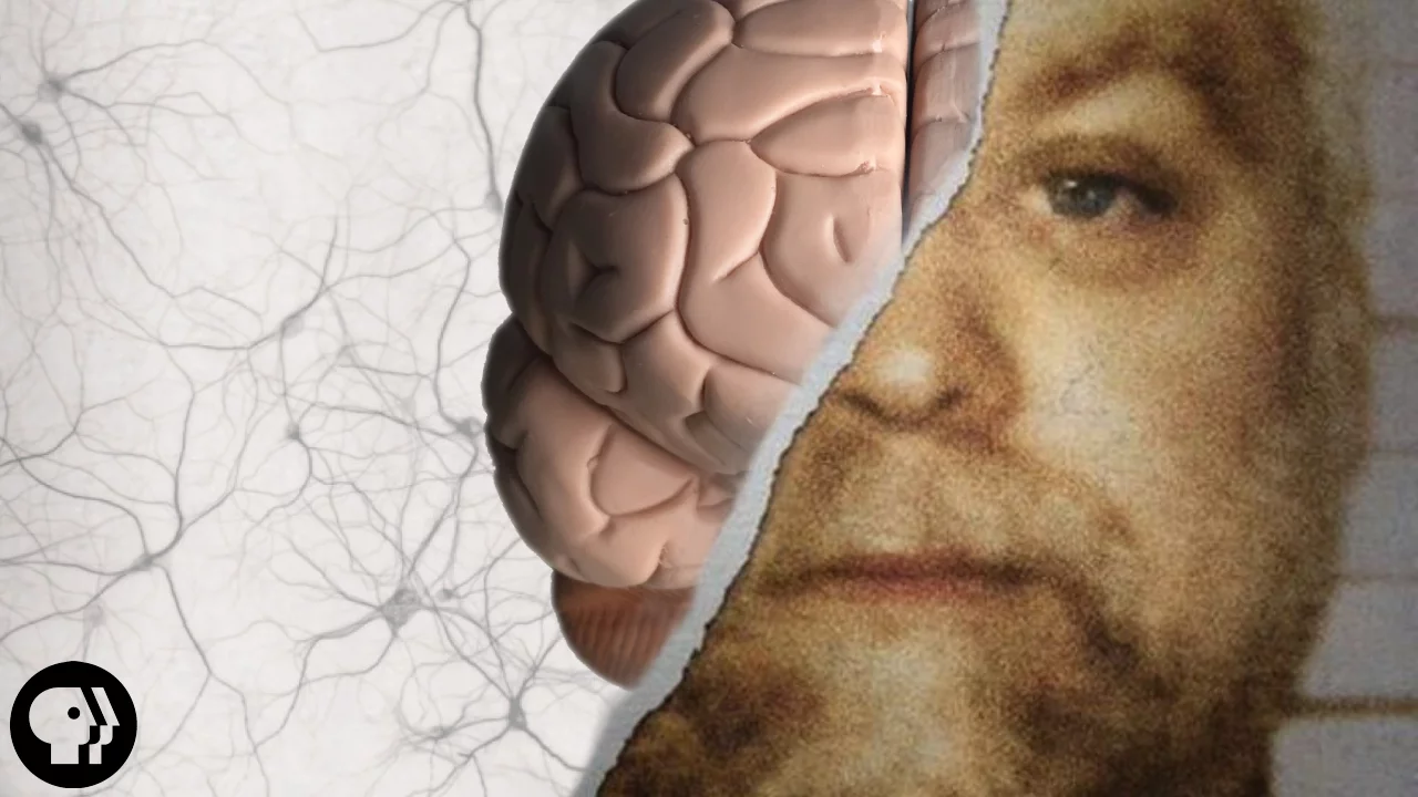 Can Your Memory Make a Murderer?