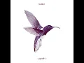 Colibri