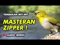 Download Lagu PALING DICARI JURI | MASTERAN PLECI TEMBAKAN WITWIT ZIPPER ROLL SPEED