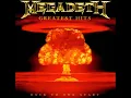 Megadeth - Greatest Hits Back To The Start - Skin O'My Teeth