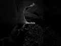 Download Lagu Tattoo//loreen(speed up and tiktok version)||violins playing and the angel's crying #tattoo #shorts