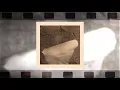 Lil Zey - Vuslat