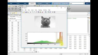 Histogram of an Image image processing - MATLAB full course