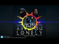 Are You Lonely - Alan Waker & Steve Aoki ft ISAK & Omar Noir