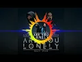 Are You Lonely - Alan Waker \u0026 Steve Aoki ft ISAK \u0026 Omar Noir