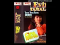 Download Lagu Evie Tamala - Mesranya