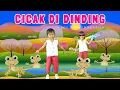 Lagu Cicak - Cicak Di Dinding | Lagu Anak Indonesia Terpopuler
