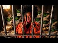 RKEMPIREE - THE DUMPLING SONG
