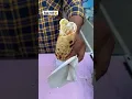 Download Lagu BEST EGG ROLL IN DELHI 😍|| Recipe video 😱😍|| 📍Vivek Vihar, B - block market || #shorts #viral
