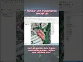 GIS Tips and Tricks for Beginner