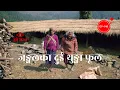 Download Lagu जङ्गलका दुई थुङ्गा फूल | The Wild Flowers | Herne Katha EP145 - हेर्ने कथा