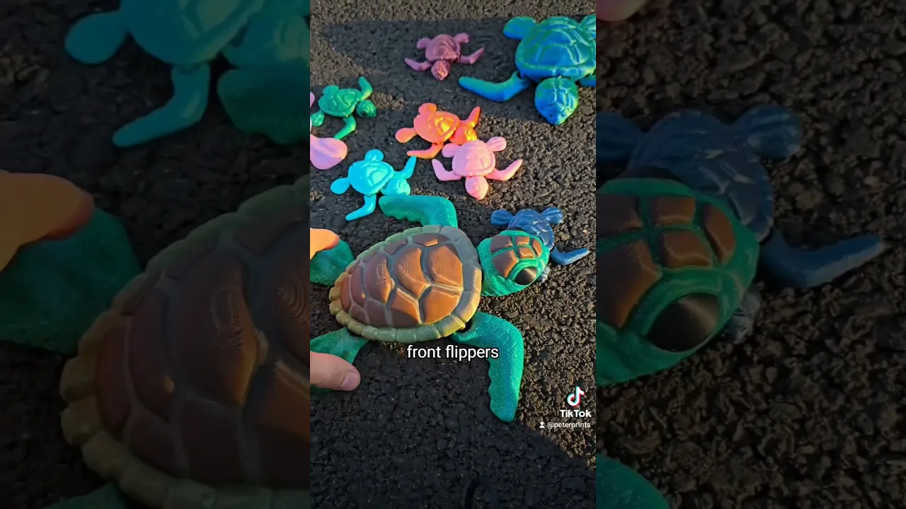 Flexi Baby Sea Turtle video thumbnail