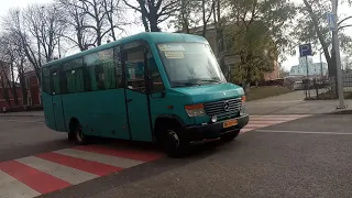                                      دندنها