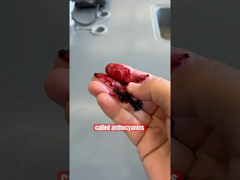Making a Solar Cell with Raspberries