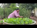 Download Lagu ఫార్మ్ లో చాలా మంచి హార్వేట్ వచ్చింది .15 రోజుల తరువాత ఫార్మ్ కి వచ్చాము 