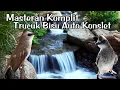 Download Lagu Pancingan trucukan gacor Pagi hari AMPUH mengatasi trucuk stres \u0026 trucukan macet bunyi Biar gacor