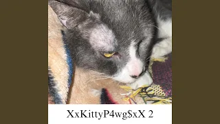 دوستان دندنها