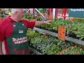 How To Design A Functional Garden - D I Y at Bunnings