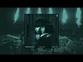 Martin Garrix & Third Party - Carry You (Outro Edit)