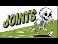 Joints A Comprehensive Overview with a Skeleton
