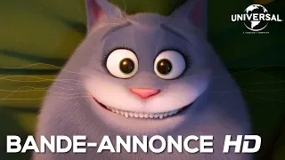 Comme Des Bêtes 2 - Bande Annonce "Boule de poils" VF