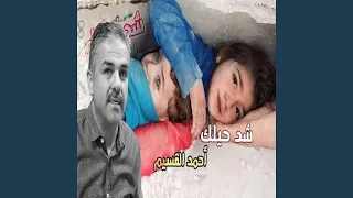            دندنها