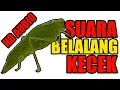 SUARA MASTERAN WALANG KECEK SPEED LAMBAT - AUDIO JERNIH FULL HD