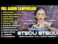 Download Lagu Album Niken Salindry || STECU STECU - KAWITANING SINAWANG - LAGU TRENDING FULL ALBUM TERBARU 2025