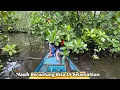 Download Lagu Tak Di Duga Ikannya Monster-monster Setelah Sebelumnya Hampir Zonk Mancing Malam. #fishing