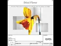 Download Lagu Wave to Earth - dried flower [Visualizer]