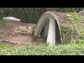 Tour the Hobbit house up for sale in River Falls Wisconsin