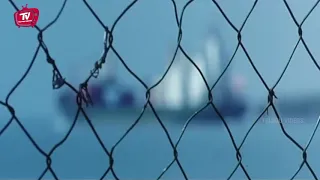 rebel star attitude entry scene