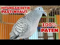 Lagu Perkutut lokal gacor HITUNGAN DETIK Pasti nyaut 100%PATEN
