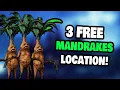 Where To Find 3 FREE Mandrakes in Hogwarts Legacy