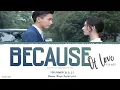 Because Of Love (因为相爱) - Dou Zhiwen (都智文)《Once We Get Married 2021 OST》《只是结婚的关系》Lyrics