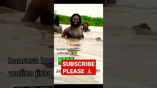 Shorts Jaal Marroo Moha Media Qaanqee Show Omn Oduu Hatatama Wbo Abo Oromomusic Oromotiktok Faannoo 