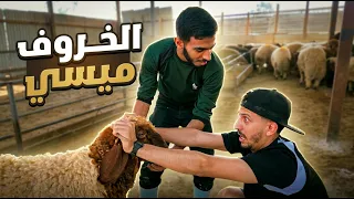 اشتريت خروف العيد وهرب مني  !! 😭😭 ميسي راح  💔