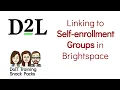 Linking to Self Enrollment Groups in Brightspace so students can choose a group