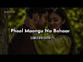 Phool Maangu Na Bahaar Maangu (Slowed and Reverb) | Udit Narayan \u0026 Alka Yagnik | Raja | #KuberEditz