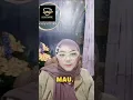 Lagu DERITA CINTA SEPI - PURPEL (COVER PESERTA STAR IS BORN DMP 2026)