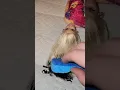 How to dye dolls hair