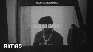 Sech - EL QUE HABLA (Visualizer) | SECHO GANG