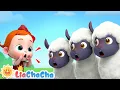 Download Lagu My Little Lamb Baa Baa | EP88 | Farm Animal Series | Kids Songs \u0026 Nursery Rhymes | LiaChaCha