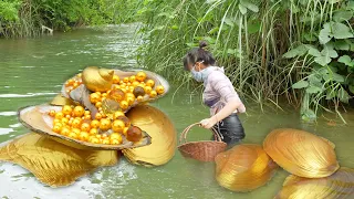 🎀🔮 Unbelievable treasure adventure girl spots evolved huge mussel holding countless expensive pearls