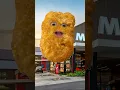 Download Lagu #chicken #banana #funny #shortsfeed