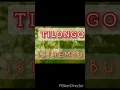 Download Lagu Tilongo Isithembu