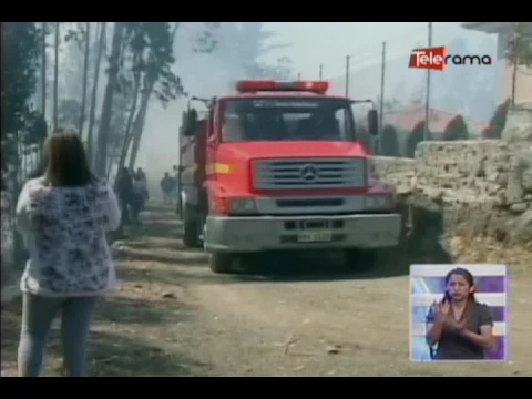 29 incendios forestales durante el fin de semana