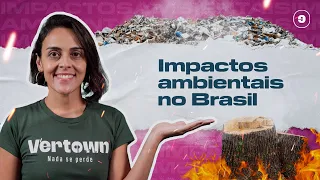 IMPACTOS AMBIENTAIS NO BRASIL | O que é impacto ambiental, quais consequências e como diminuir 🚨