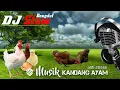 Download Lagu Musik Kandang AYAM , Musik AYAM ANTI STRESS  , Dangdut Remik