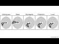 Direct Collocation Methods for Trajectory Optimization in Constrained Robotic Systems